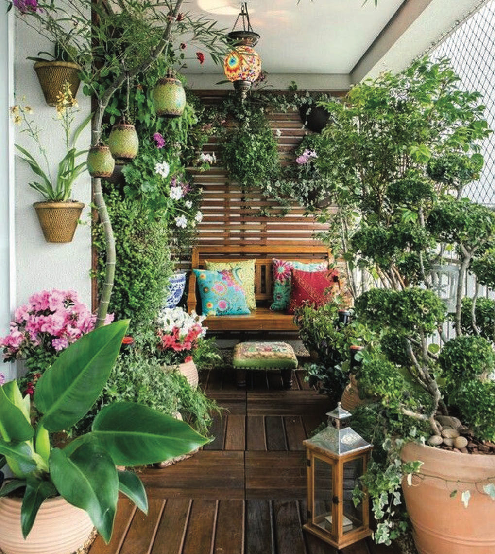 The Apartment Garden: How to Create an Inner City Oasis