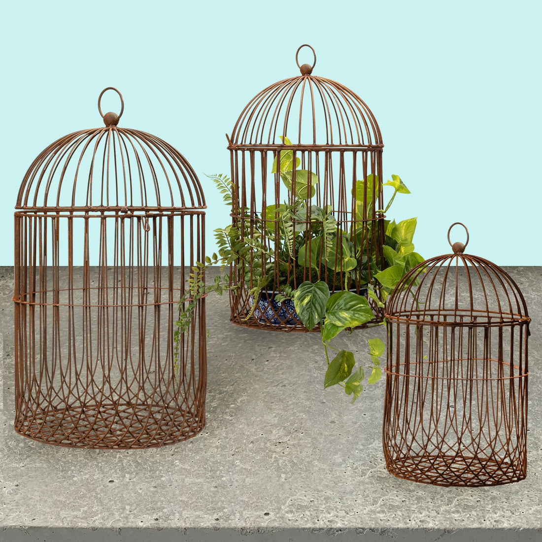 Rust Metal Birdcage (set of 3)