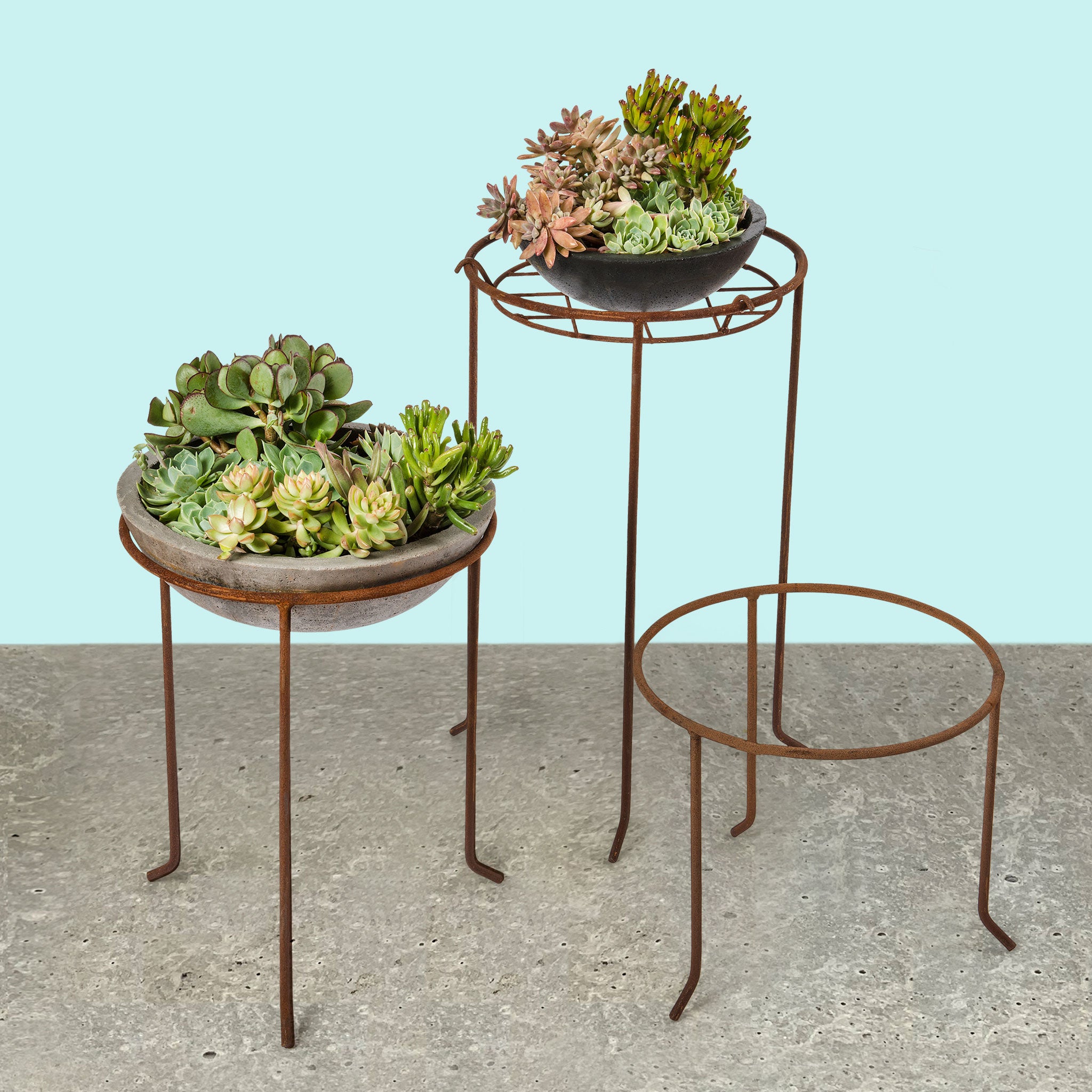 Garden plant stand for your pots in rust